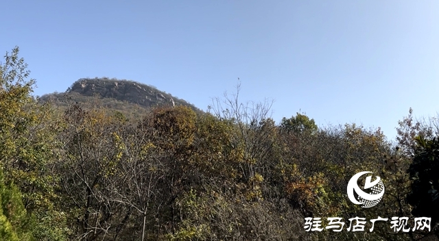 六大举措”积极备战森林防火紧要期