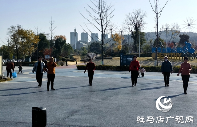确山：盘龙山上枫叶红