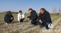 驿城区农业农村局：主题教育下基层 为民服务心贴心
