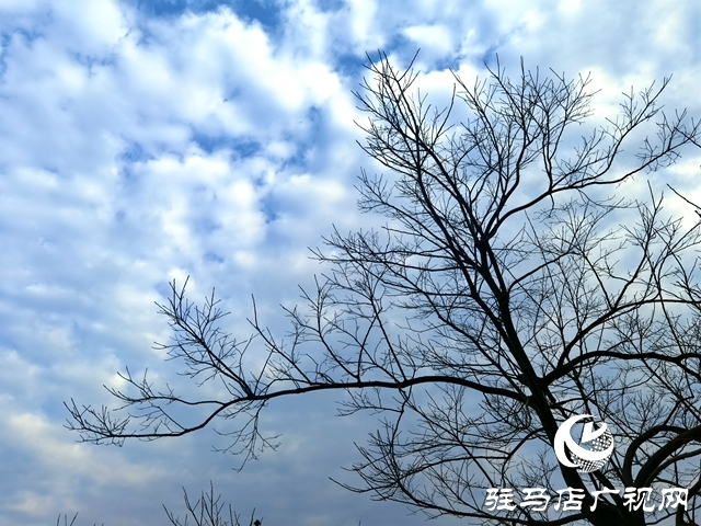 老乐山初冬之美