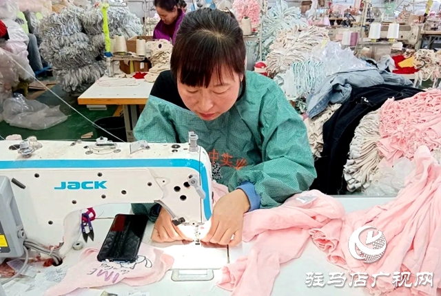 确山县:实施“回归工程”壮大特色产业