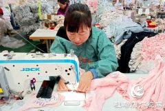 确山县：实施“回归工程”壮大特色产业