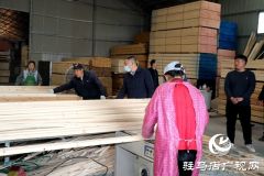 平舆县东皇街道:以精准监督护航优化营商环境