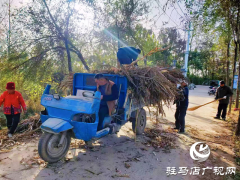 驿城区蚁蜂镇：开展人居环境整治 推进美丽乡村建设