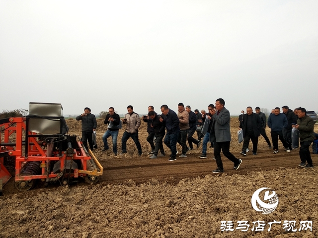 正阳县：“棚专家”开启多产业种植模式