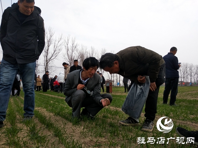 正阳县：“棚专家”开启多产业种植模式