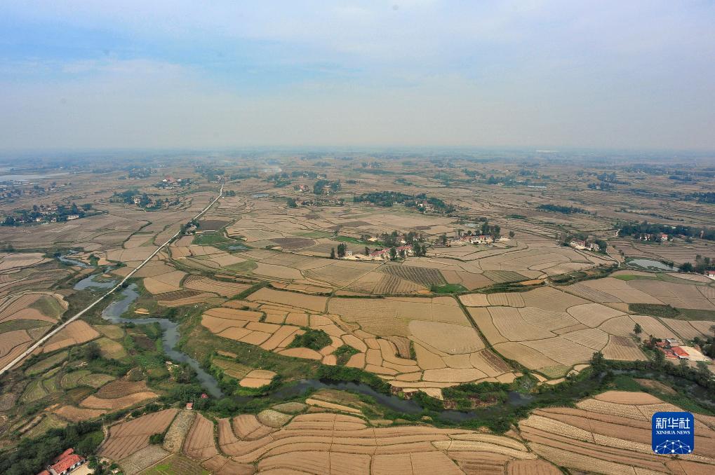 国家文物局通报4项“考古中国”重大项目重要进展情况