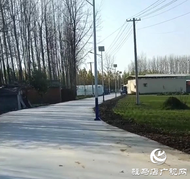 平舆老党员出资80余万元为家乡修路捐灯