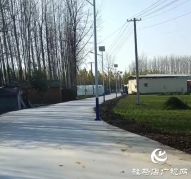 平舆老党员出资80余万元为家乡修路捐灯