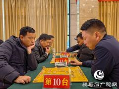 全国象棋业余棋王赛河南赛区驻马店站象棋比赛举行