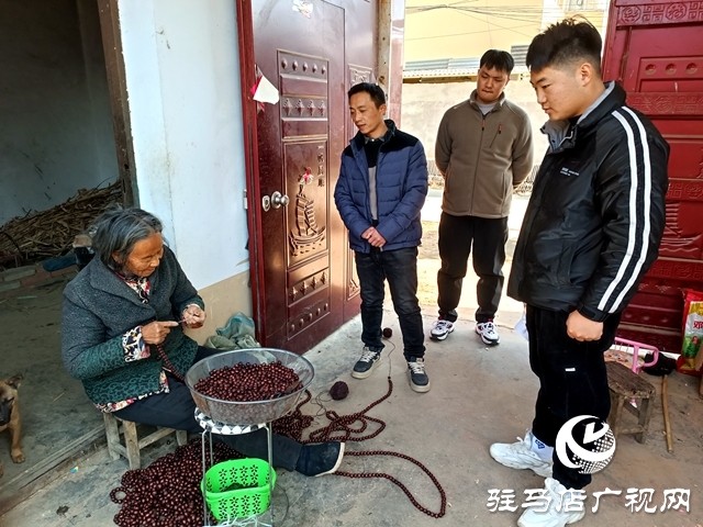 汝南县：入户走访解民忧