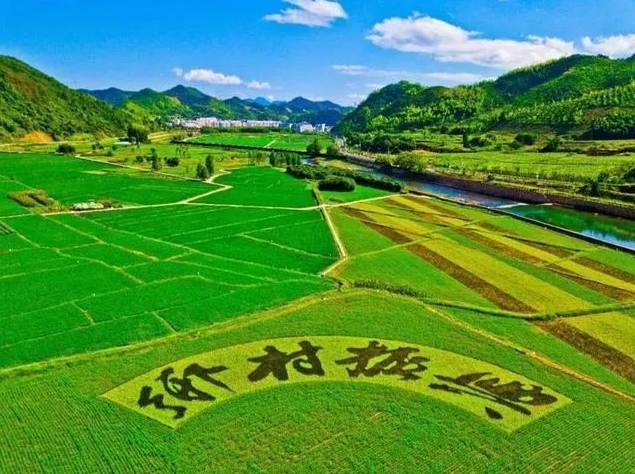 泌阳县：组织赋能人才聚力 全面助推乡村振兴