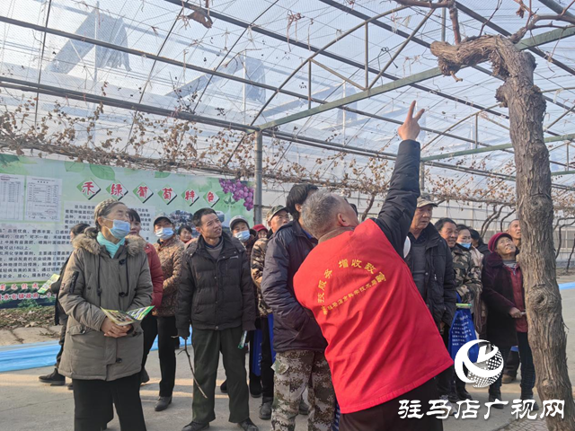 驿城区朱古洞乡：高素质农民培训为乡村振兴“储能发电”