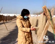 平舆县双庙镇：小红薯做强大产业