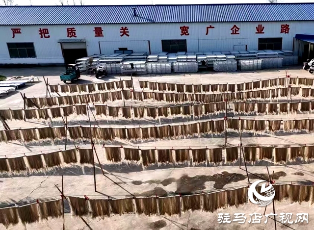 平舆县双庙镇：小红薯做强大产业
