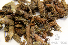 出彩新农人||李佳伟：夏枯草种好“致富良方”