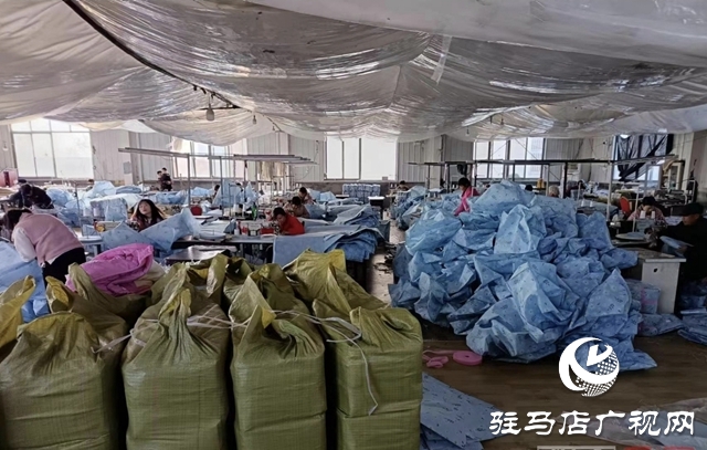 平舆县阳城镇:发展共同富裕加工园筑就群众致富路