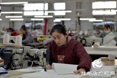 新蔡县：以学促干推进产业加快发展