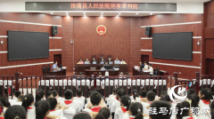 汝南县人民法院开展“六一”儿童节公众开放日活动