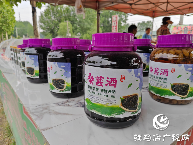 平舆县杨埠镇:小小桑葚果种出村民致富“甜蜜”路