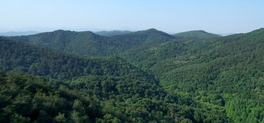 这片山林 我们守护