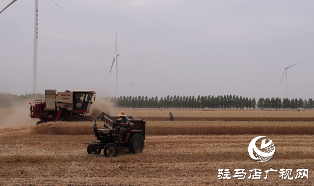 西平县五沟营镇:奏响“三夏”丰收曲