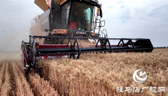 西平县五沟营镇：奏响“三夏”丰收曲