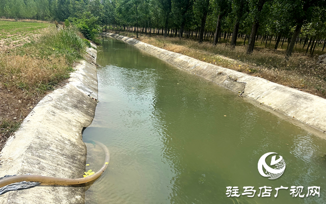 泌阳县郭集镇:齐心协力抗旱情