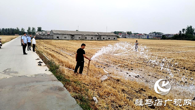 确山县留庄镇:抗旱抢种保夏播