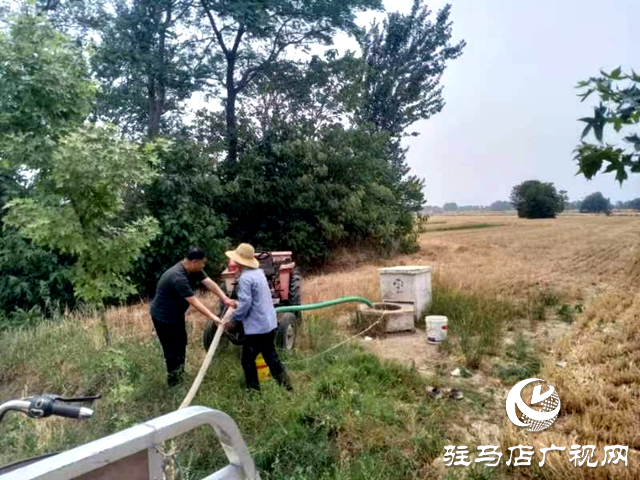 确山县留庄镇:抗旱抢种保夏播