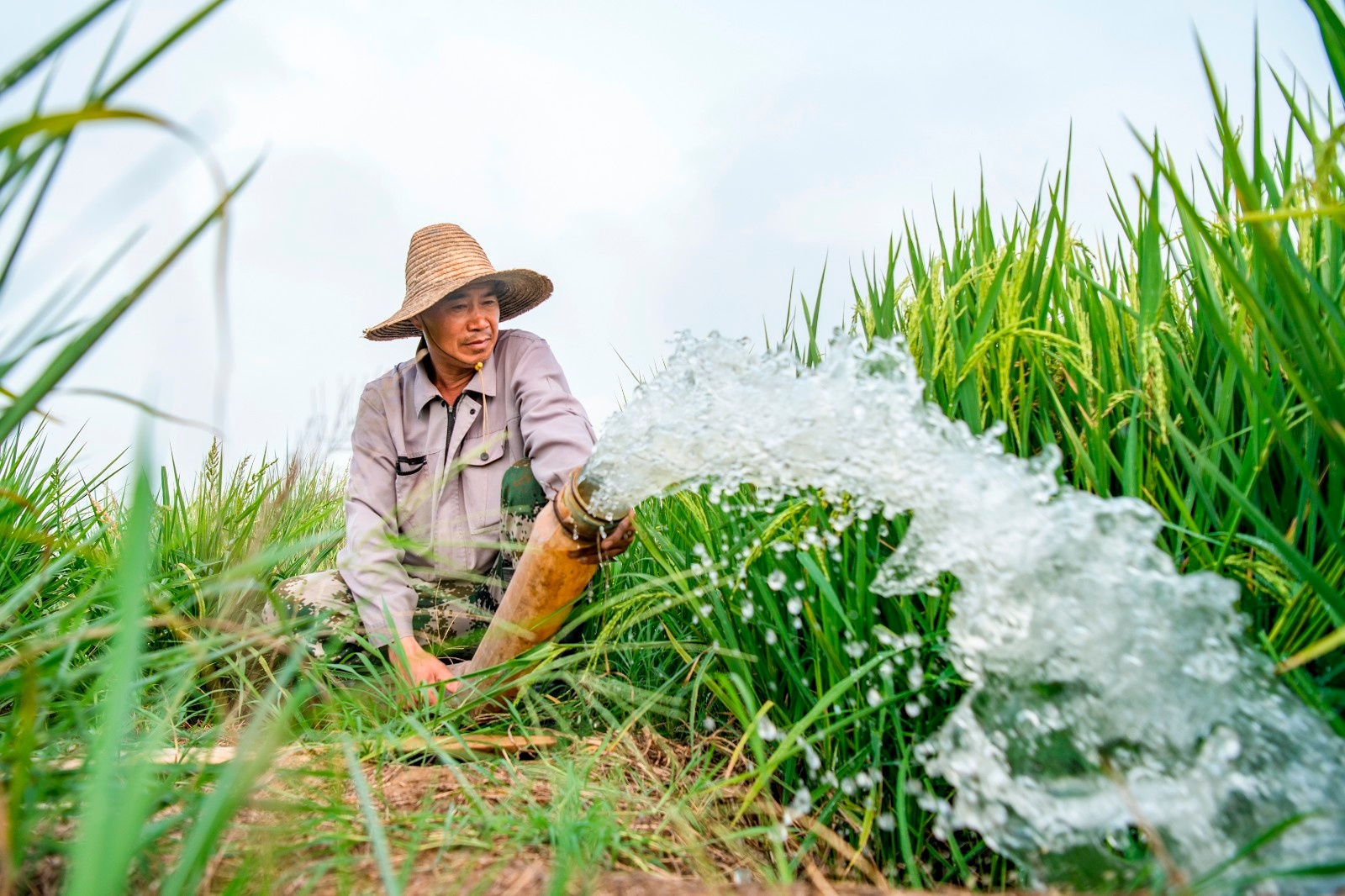 驻马店市城乡一体化示范区刘阁街道：不误农时忙秋种