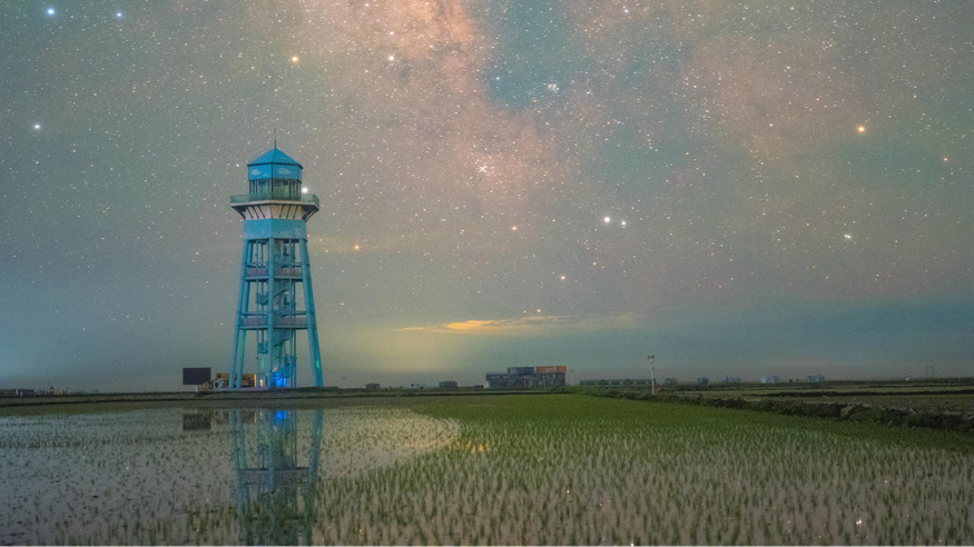 初夏“北大仓”舒展稻田星光画卷