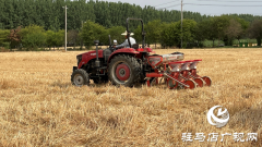 驿城区华夏种植合作社：不误农时抢种保秋收