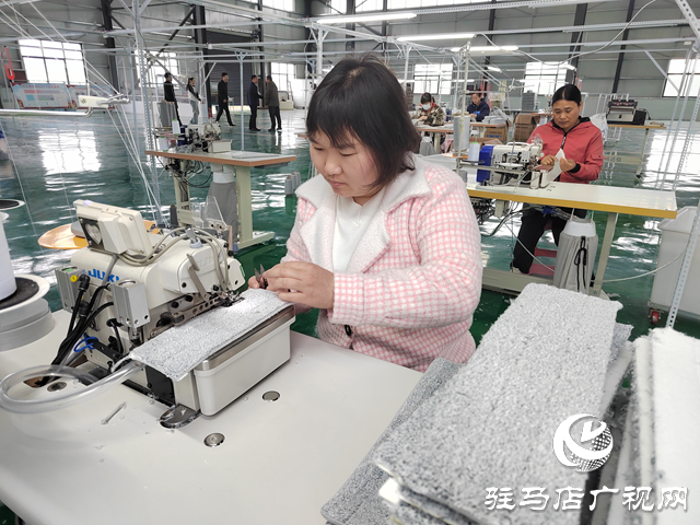 泌阳县双庙街乡:加快推进乡村振兴产业园建设 助力镇域经济高质量发展