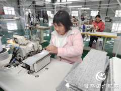 泌阳县双庙街乡：加快推进乡村振兴产业园建设 助力镇域经济高质量发展