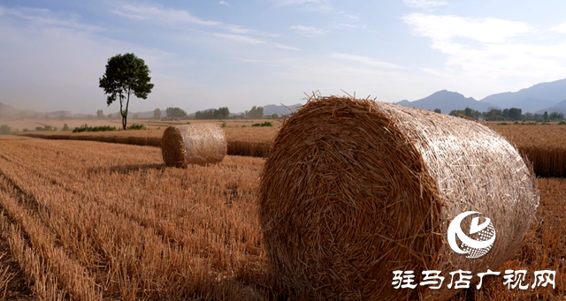 泌阳县:畜牧养殖让秸秆变废为宝
