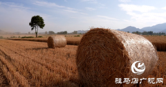 泌阳县：畜牧养殖让秸秆变废为宝