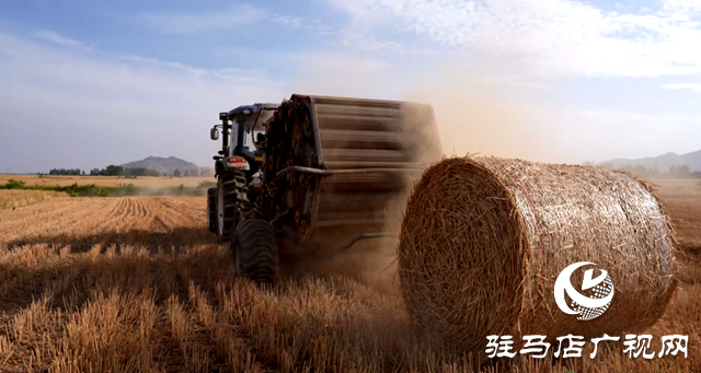 泌阳县:畜牧养殖让秸秆变废为宝