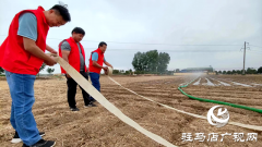 平舆县庙湾镇：田间闪耀“志愿红” 及时浇灌保秋收