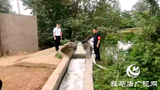 新蔡县顿岗乡:全力做好抗旱夏播工作