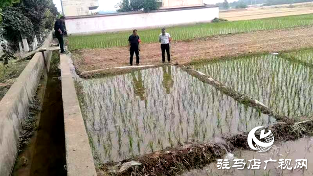 新蔡县顿岗乡:全力做好抗旱夏播工作