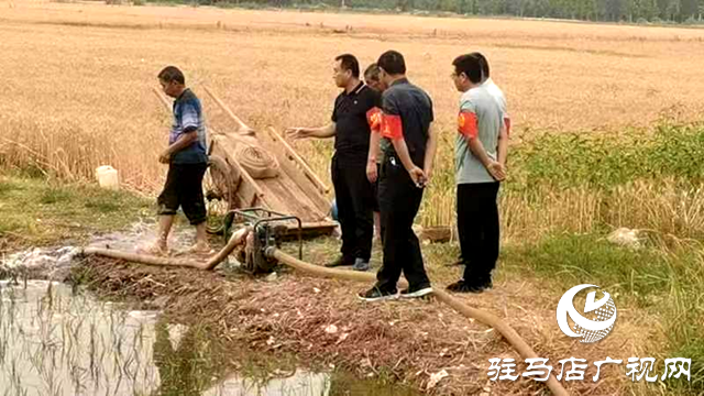 新蔡县顿岗乡:全力做好抗旱夏播工作