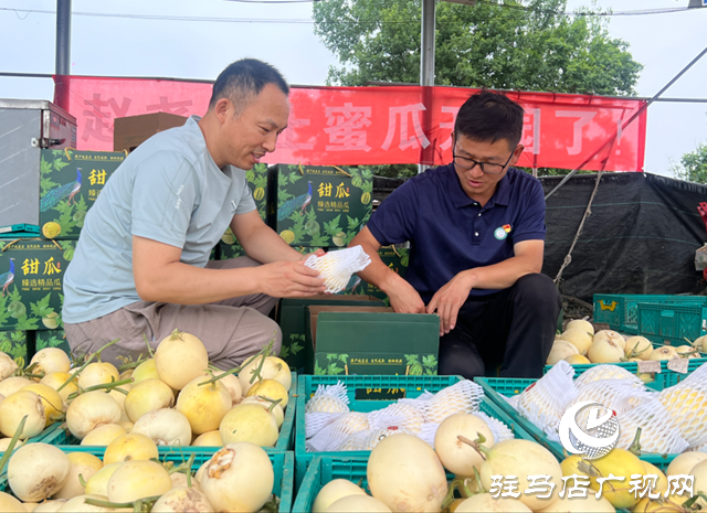 驿城区沙河店镇赵尧村:瓜果飘香 特色种植促发展