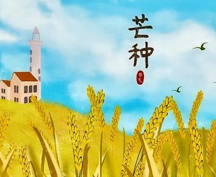 芒种至 驻马店气象专家提醒：近期仍无明显降水 做好造墒播种工作