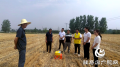 【人大代表在身边】驿城区：人大代表携手爱心企业为基层抗旱人员送清凉