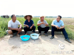 泌阳县泰山庙镇：党群抗旱“粽”动员 确保夏种工作圆满完成