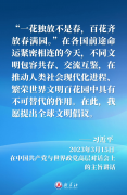 “百花齐放春满园”——习近平主席这样倡导文明对话与交流互鉴