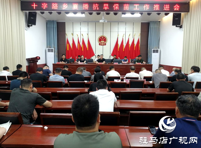 平舆县十字路乡：全力以赴齐发力 抗旱保苗夺丰收