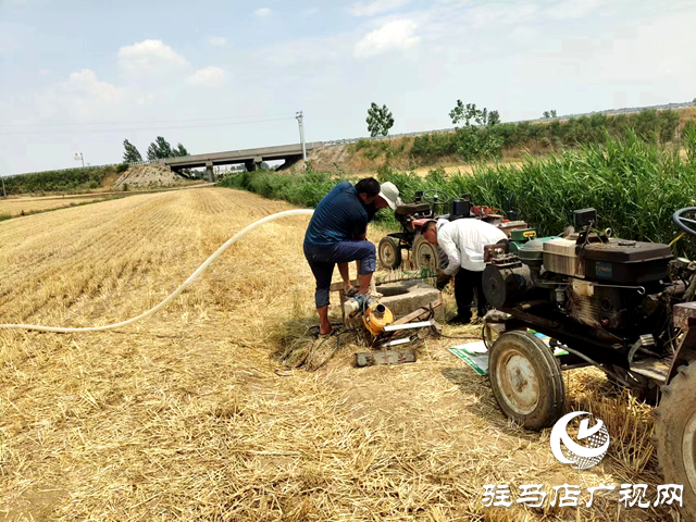 确山县双河镇：多种举措抗旱保秋