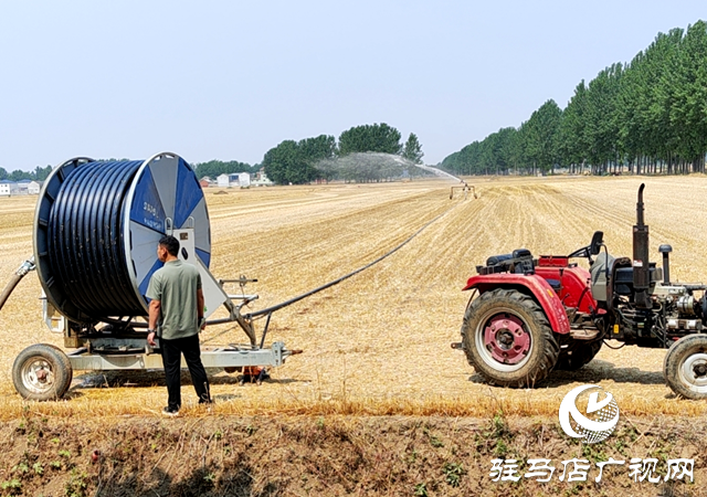平舆县十字路乡：全力以赴齐发力 抗旱保苗夺丰收